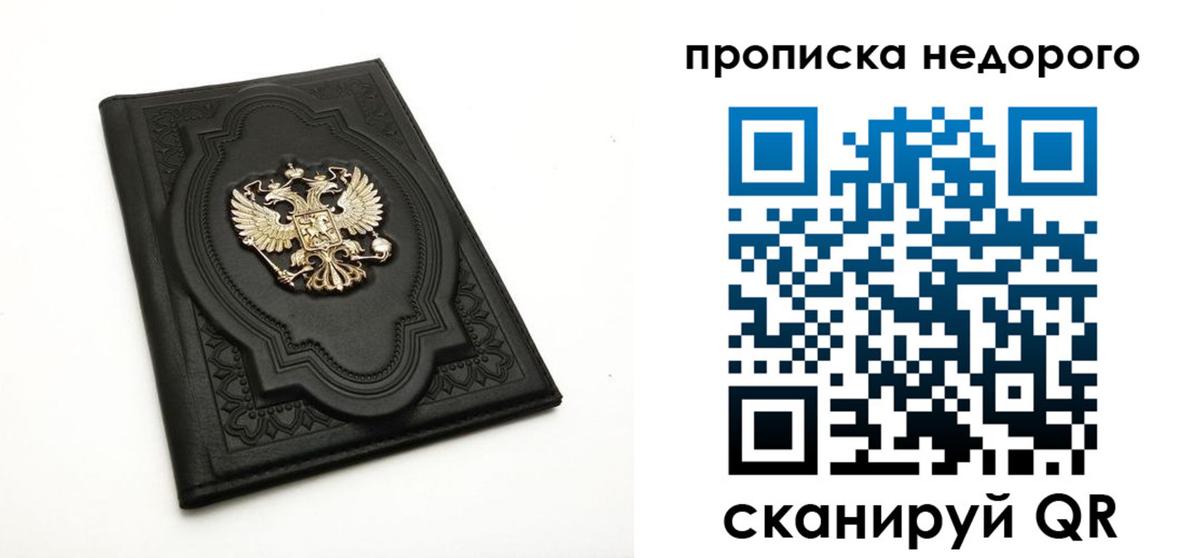 прописка для школы в Александрове