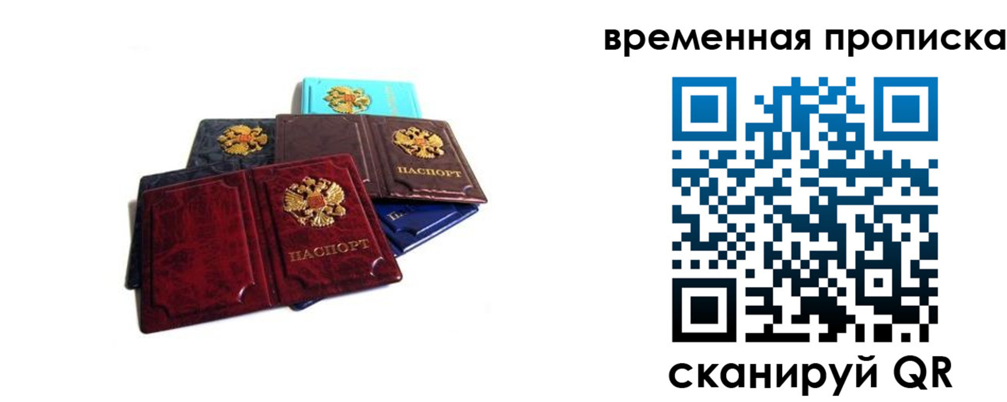 прописка законно в Александрове